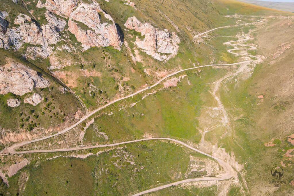 Die Serpentinenstraße der 33 Papageien führt nach Son Kul