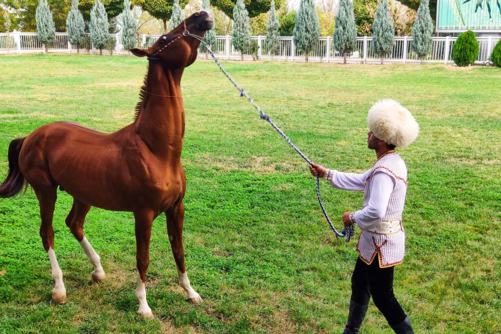 ahal teke Pferderasse, Turkmenistan