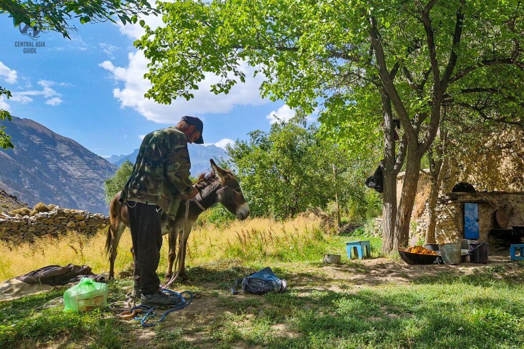 Ein Mann mit seinem Esel im Dorf Jizev in Bartang, Pamir
