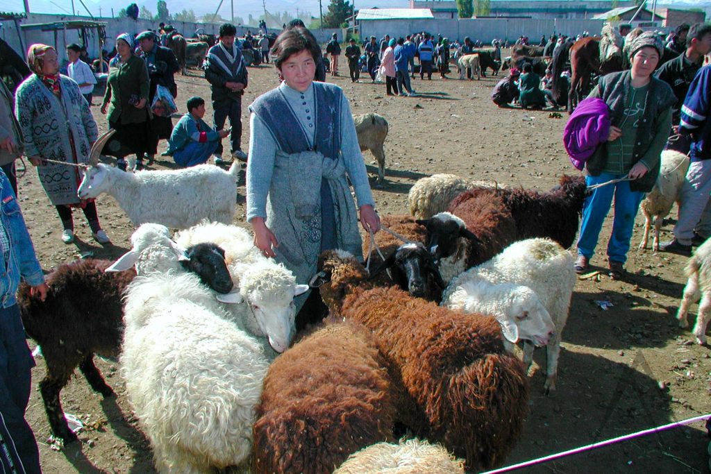 Sonntagstierbasar in Karakol, Kirgisistan